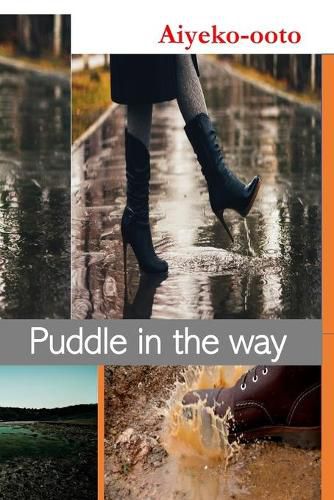 Cover image for Puddle in The Way