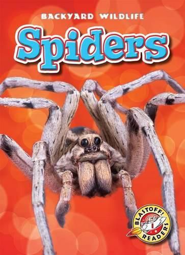 Cover image for Spiders