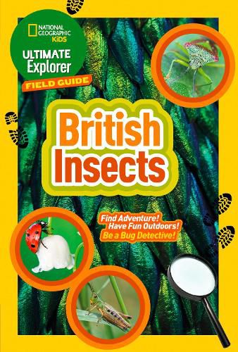 Cover image for Ultimate Explorer Field Guides British Insects: Find Adventure! Have Fun Outdoors! be a Bug Detective!