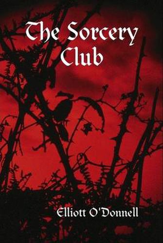 Cover image for The Sorcery Club