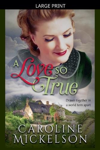 Cover image for A Love So True