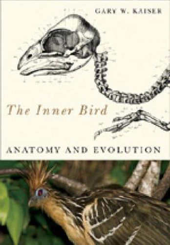 Cover image for The Inner Bird: Anatomy and Evolution