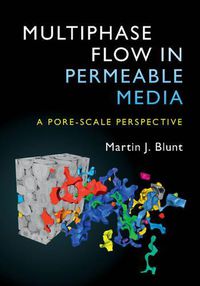 Cover image for Multiphase Flow in Permeable Media: A Pore-Scale Perspective