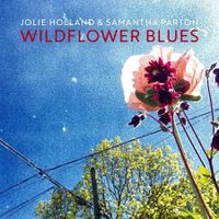 Cover image for Wildflower Blues
