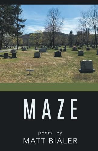 Cover image for Maze