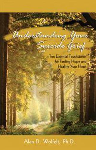 Cover image for Understanding Your Suicide Grief