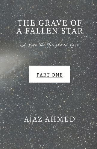 Cover image for The Grave of a Fallen Star