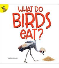 Cover image for What Do Birds Eat?