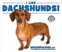 Cover image for I Like Dachshunds!