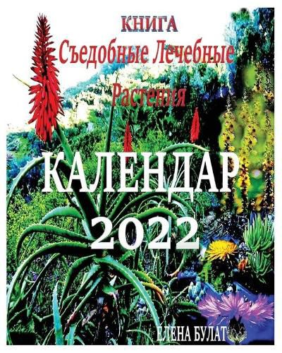 Cover image for Книга. Календар 2022