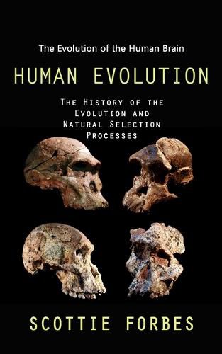 Cover image for Human Evolution