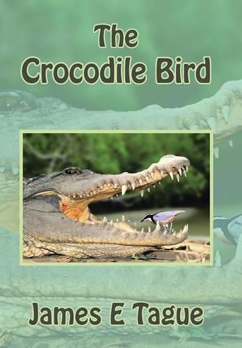 Cover image for The Crocodile Bird