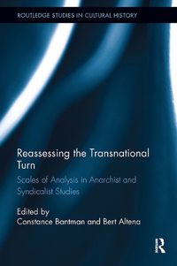 Cover image for Reassessing the Transnational Turn