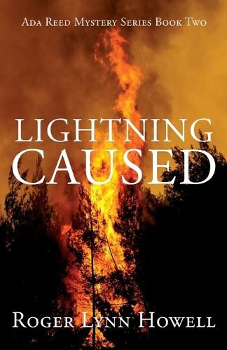 Cover image for Lightning Caused