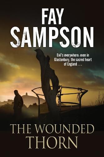 Cover image for The Wounded Thorn