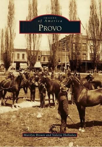 Cover image for Provo