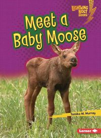 Cover image for Meet a Baby Moose