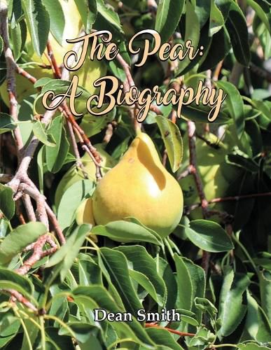 Cover image for The Pear