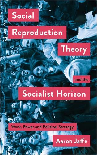 Cover image for Social Reproduction Theory and the Socialist Horizon: Work, Power and Political Strategy