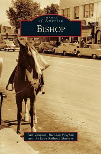 Cover image for Bishop