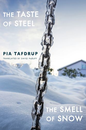 Cover image for The Taste of Steel * The Smell of Snow