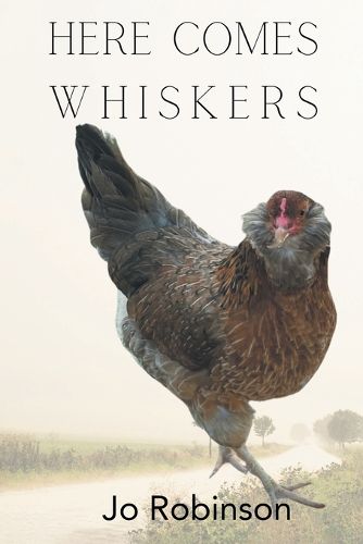 Cover image for Here Comes Whiskers