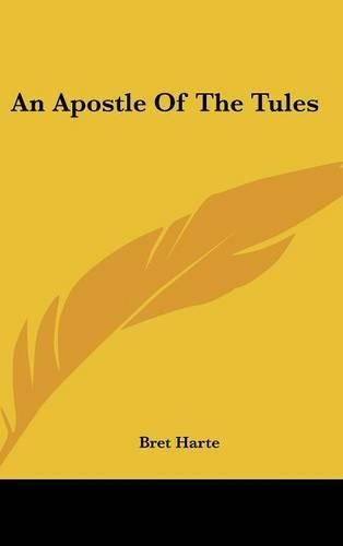 Cover image for An Apostle of the Tules