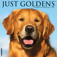 Cover image for Just Goldens 2025 12 X 12 Wall Calendar