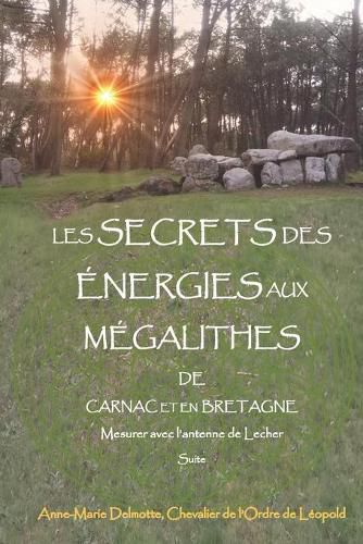 Cover image for LES SECRETS DES ENERGIES AUX MEGALITHES DE CARNAC ET EN BRETAGNE - Mesurer avec l'antenne de Lecher - Suite