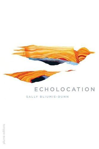 Cover image for Echolocation