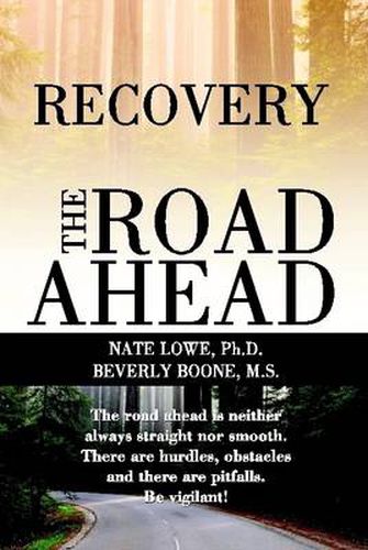 Cover image for Recovery The Road Ahead