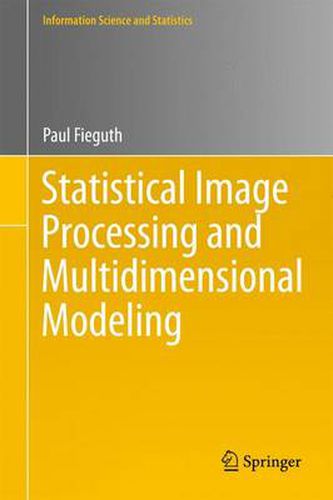 Cover image for Statistical Image Processing and Multidimensional Modeling