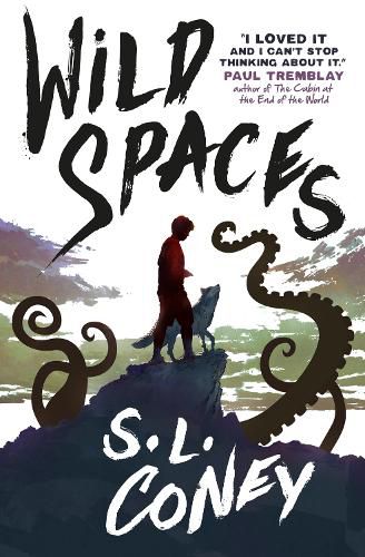 Cover image for Wild Spaces