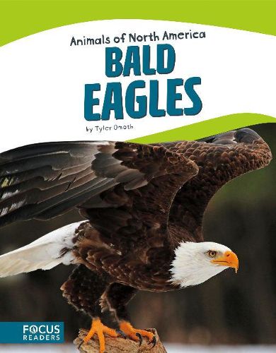 Cover image for Animals of North America: Bald Eagles