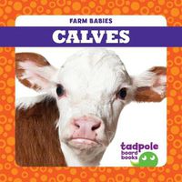 Cover image for Calves