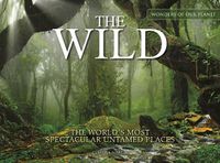 Cover image for The Wild