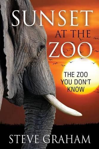 Cover image for Sunset at the Zoo: The Zoo You Don't Know