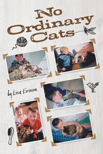 Cover image for No Ordinary Cats