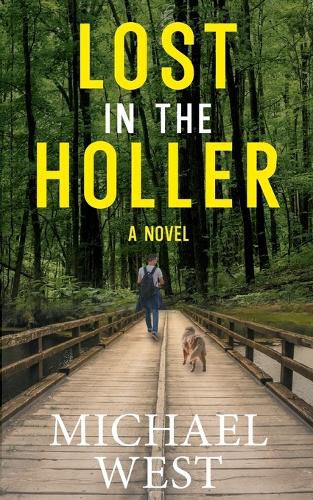 Cover image for Lost in the Holler