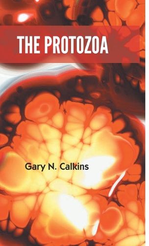 Cover image for The Protozoa