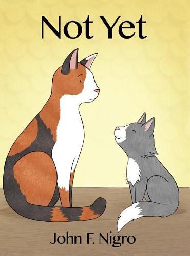 Cover image for Not Yet