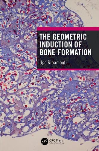 Cover image for The Geometric Induction of Bone Formation