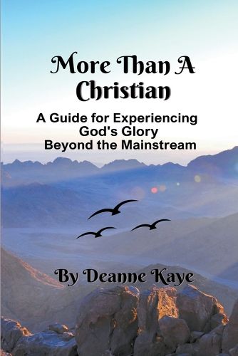 Cover image for More Than A Christian