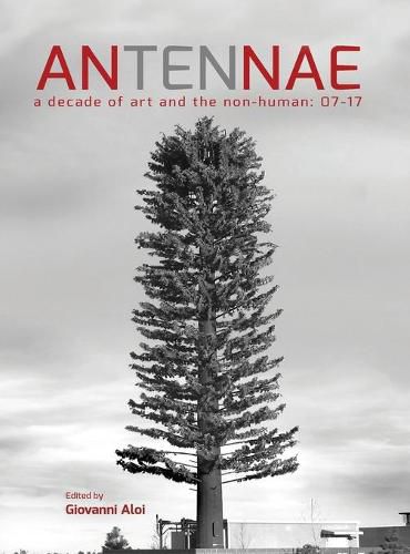 Cover image for Antennae 10: A Decade of Art and the Non-Human 07-17