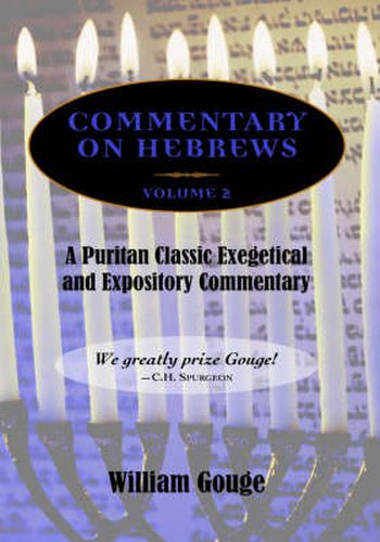 Cover image for Commentary on Hebrews: Exegetical and Expository - Vol. 2 (8-13)