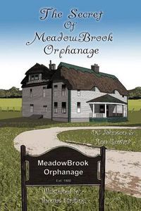 Cover image for The Secret of Meadowbrook Orphanage