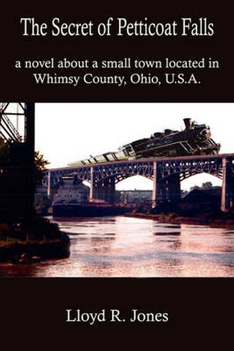 Cover image for The Secret of Petticoat Falls: a Novel About a Small Town Located in Whimsy County, Ohio, U.S.A.