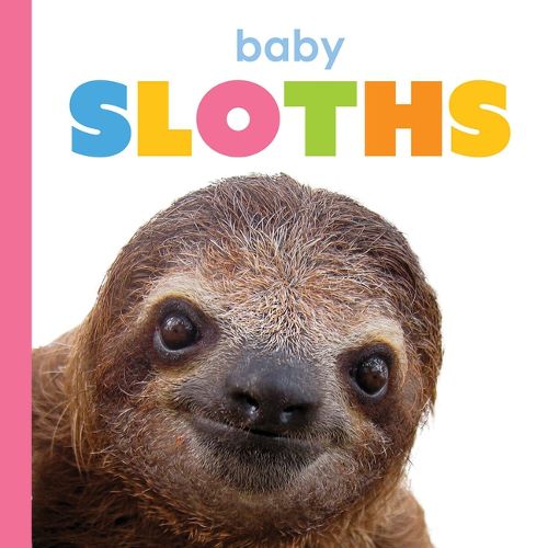 Cover image for Baby Sloths