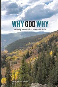 Cover image for Why God Why