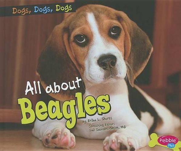 Cover image for All about Beagles